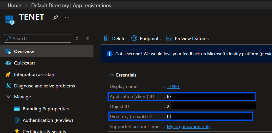 Application overview showing Client ID and Tenant ID